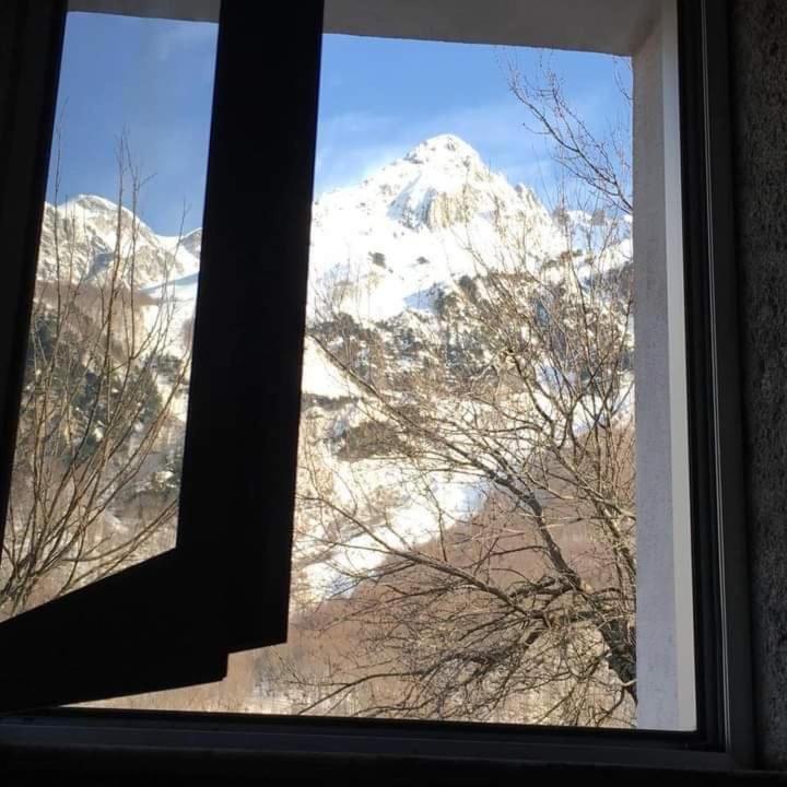 Guest House Emanueli Tropoje エクステリア 写真